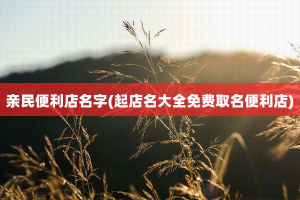 亲民便利店名字(起店名大全免费取名便利店)