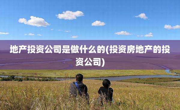 地产投资公司是做什么的(投资房地产的投资公司)
