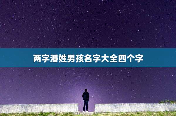 两字潘姓男孩名字大全四个字
