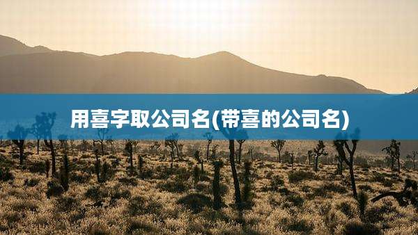 用喜字取公司名(带喜的公司名)