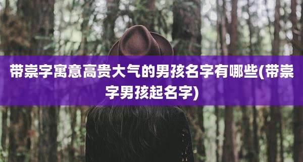 带崇字寓意高贵大气的男孩名字有哪些(带崇字男孩起名字)
