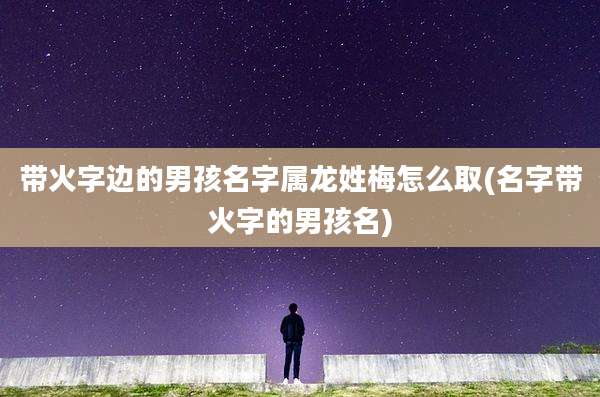 带火字边的男孩名字属龙姓梅怎么取(名字带火字的男孩名)