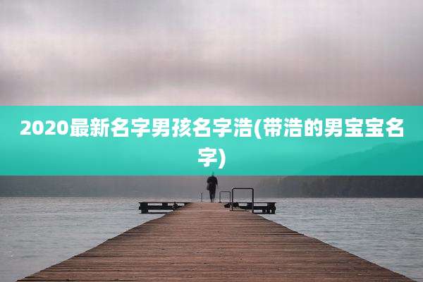 2020最新名字男孩名字浩(带浩的男宝宝名字)