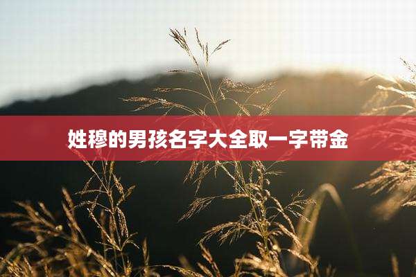 姓穆的男孩名字大全取一字带金