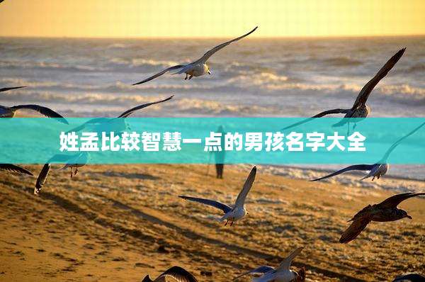 姓孟比较智慧一点的男孩名字大全