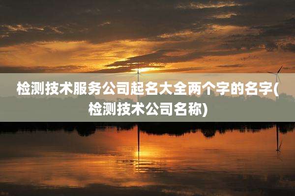 检测技术服务公司起名大全两个字的名字(检测技术公司名称)