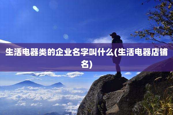 生活电器类的企业名字叫什么(生活电器店铺名)