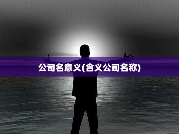 公司名意义(含义公司名称)