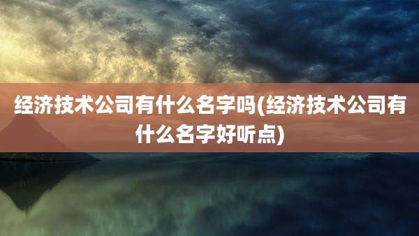经济技术公司有什么名字吗(经济技术公司有什么名字好听点)