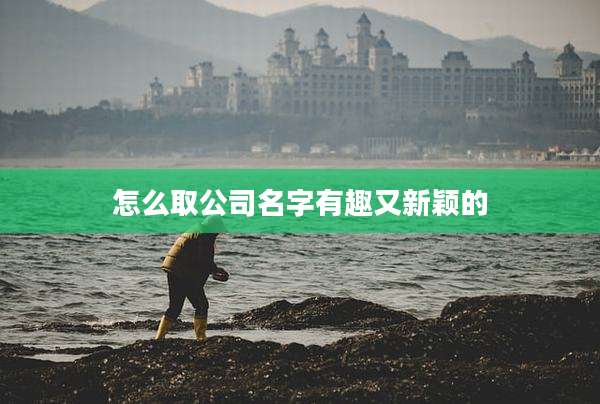 怎么取公司名字有趣又新颖的