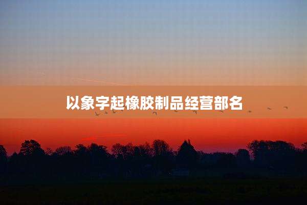 以象字起橡胶制品经营部名