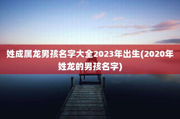 姓成属龙男孩名字大全2023年出生(2020年姓龙的男孩名字)