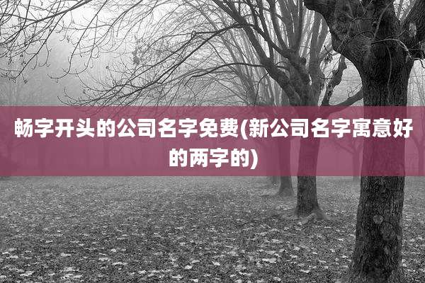 畅字开头的公司名字免费(新公司名字寓意好的两字的)