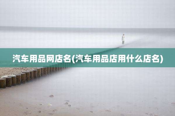 汽车用品网店名(汽车用品店用什么店名)