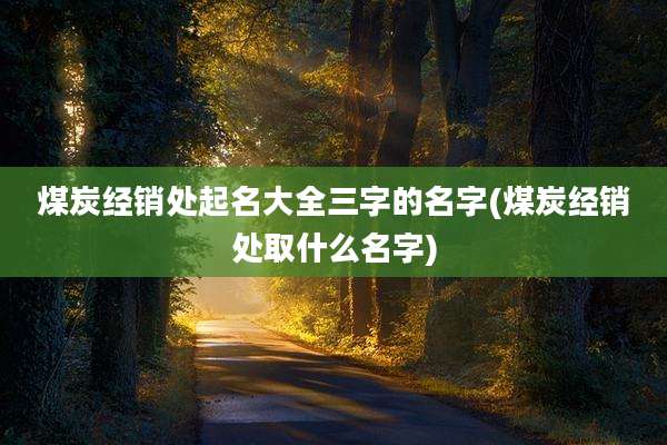煤炭经销处起名大全三字的名字(煤炭经销处取什么名字)