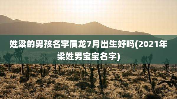 姓粱的男孩名字属龙7月出生好吗(2021年梁姓男宝宝名字)