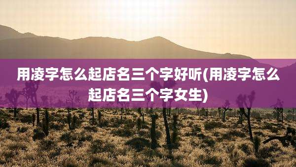 用凌字怎么起店名三个字好听(用凌字怎么起店名三个字女生)