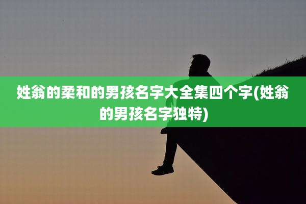 姓翁的柔和的男孩名字大全集四个字(姓翁的男孩名字独特)