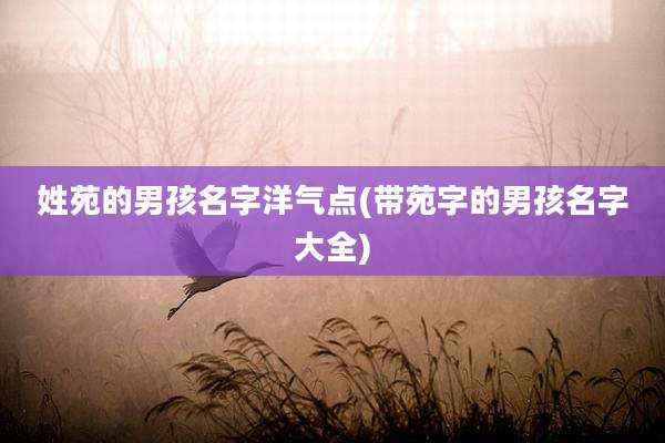 姓苑的男孩名字洋气点(带苑字的男孩名字大全)