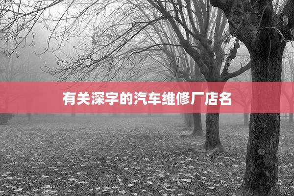 有关深字的汽车维修厂店名