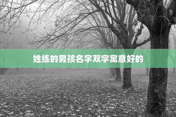 姓练的男孩名字双字寓意好的