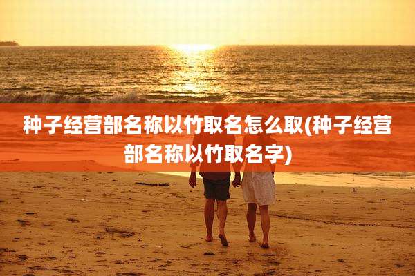 种子经营部名称以竹取名怎么取(种子经营部名称以竹取名字)