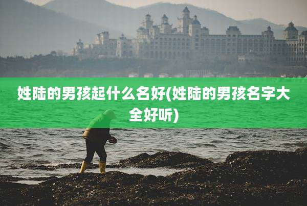 姓陆的男孩起什么名好(姓陆的男孩名字大全好听)