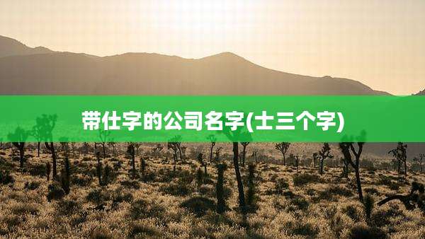 带仕字的公司名字(士三个字)