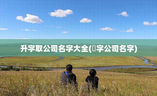升字取公司名字大全(昇字公司名字)