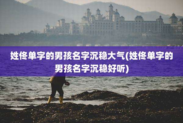 姓佟单字的男孩名字沉稳大气(姓佟单字的男孩名字沉稳好听)