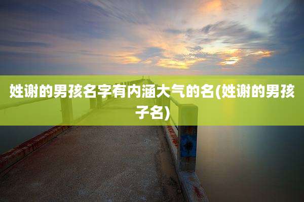 姓谢的男孩名字有内涵大气的名(姓谢的男孩子名)