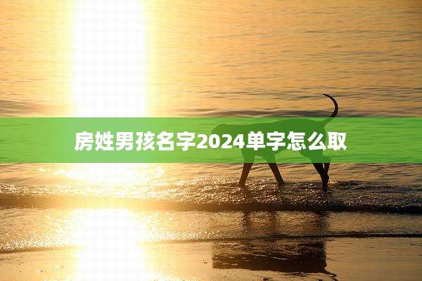 房姓男孩名字2024单字怎么取