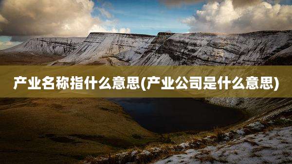 产业名称指什么意思(产业公司是什么意思)