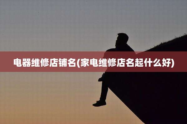 电器维修店铺名(家电维修店名起什么好)