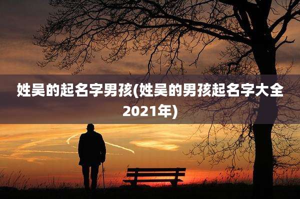 姓吴的起名字男孩(姓吴的男孩起名字大全2021年)