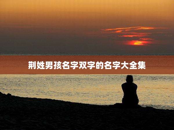 荆姓男孩名字双字的名字大全集