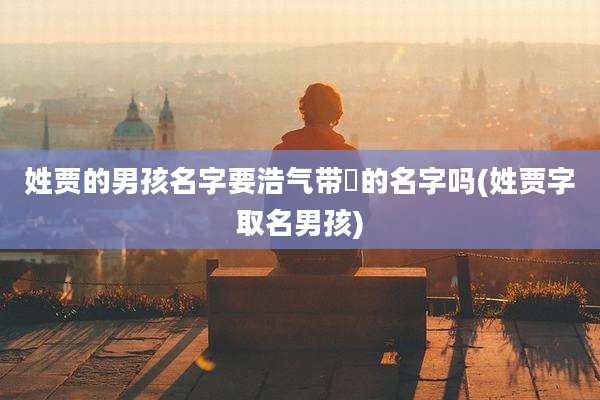 姓贾的男孩名字要浩气带玥的名字吗(姓贾字取名男孩)