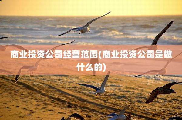 商业投资公司经营范围(商业投资公司是做什么的)
