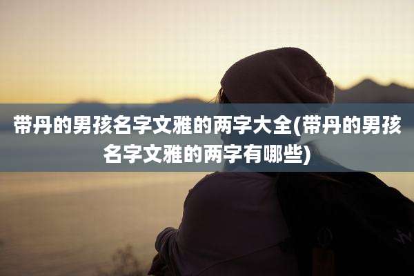 带丹的男孩名字文雅的两字大全(带丹的男孩名字文雅的两字有哪些)