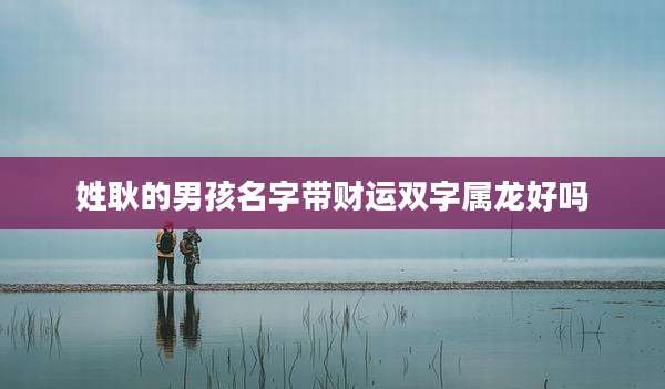 姓耿的男孩名字带财运双字属龙好吗