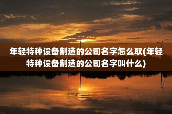 年轻特种设备制造的公司名字怎么取(年轻特种设备制造的公司名字叫什么)