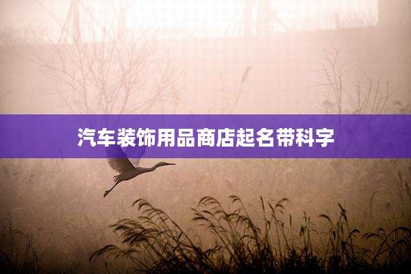 汽车装饰用品商店起名带科字