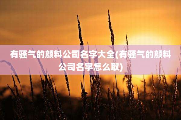 有骚气的颜料公司名字大全(有骚气的颜料公司名字怎么取)