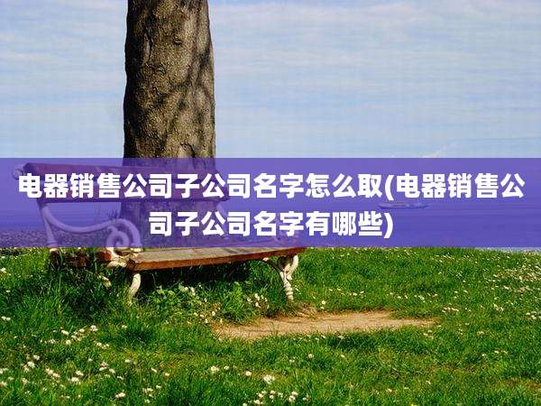 电器销售公司子公司名字怎么取(电器销售公司子公司名字有哪些)