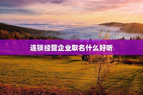 连锁经营企业取名什么好听
