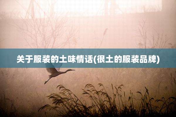 关于服装的土味情话(很土的服装品牌)