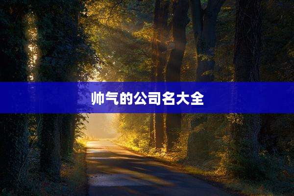 帅气的公司名大全