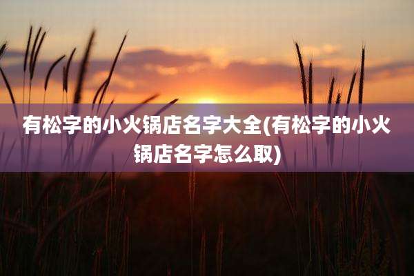 有松字的小火锅店名字大全(有松字的小火锅店名字怎么取)