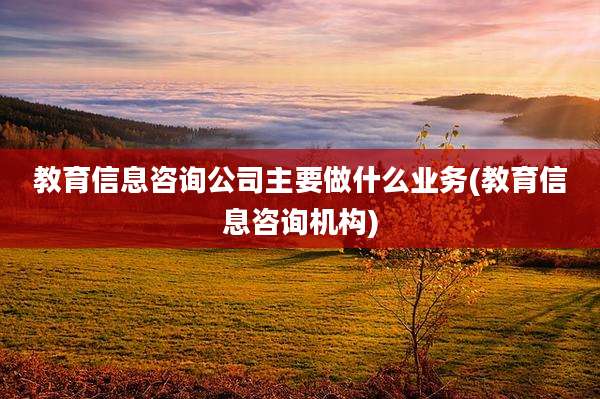 教育信息咨询公司主要做什么业务(教育信息咨询机构)