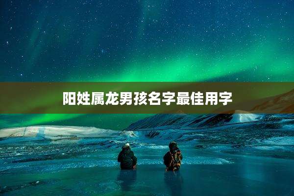 阳姓属龙男孩名字最佳用字